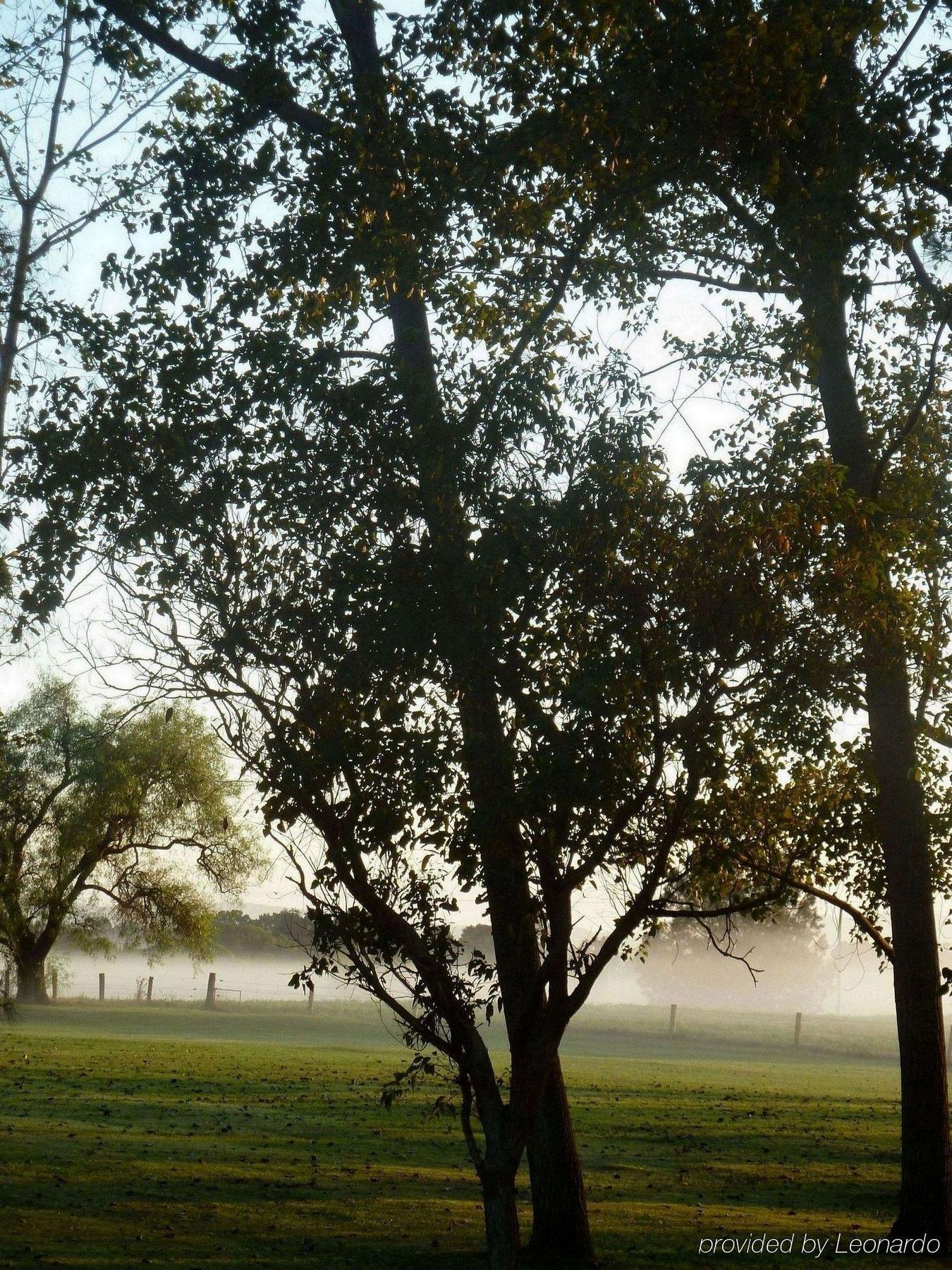 All Seasons Country alojamiento Taree Exterior foto